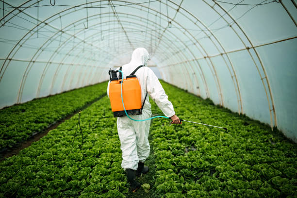 Best Pest Control Near Me  in Lufkin, TX