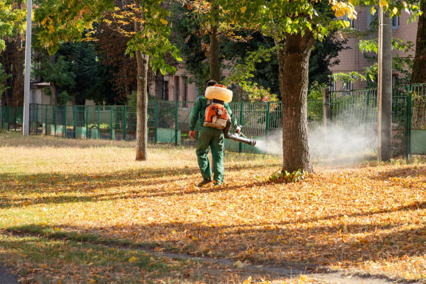 Professional Pest Control in Lufkin, TX