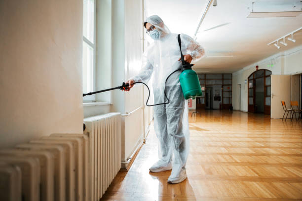 Best Flea Control Services  in Lufkin, TX