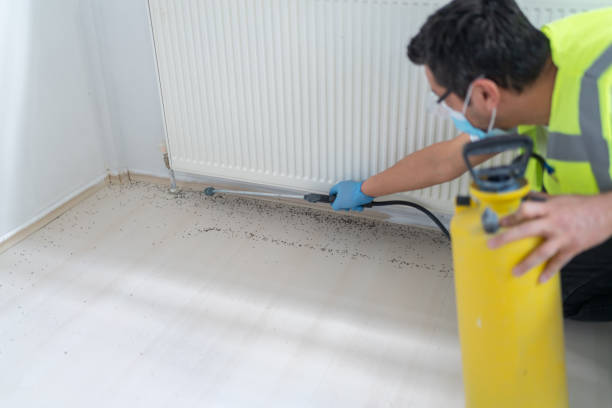 Trusted Lufkin, TX Pest Control Experts